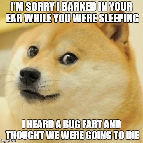 Doge Meme | I'M SORRY I BARKED IN YOUR EAR WHILE YOU WERE SLEEPING I HEARD A BUG FART AND THOUGHT WE WERE GOING TO DIE | image tagged in memes,doge | made w/ Imgflip meme maker