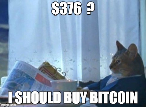 I Should Buy A Boat Cat Meme | $376  ? I SHOULD BUY BITCOIN | image tagged in memes,i should buy a boat cat | made w/ Imgflip meme maker