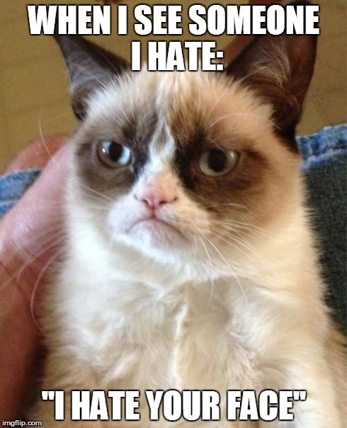 Grumpy Cat Meme | WHEN I SEE SOMEONE I HATE: "I HATE YOUR FACE" | image tagged in memes,grumpy cat | made w/ Imgflip meme maker