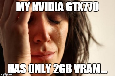 First World Problems Meme | MY NVIDIA GTX770 HAS ONLY 2GB VRAM... | image tagged in memes,first world problems | made w/ Imgflip meme maker