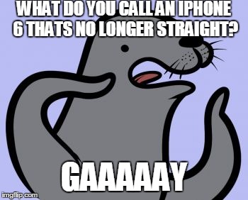 Homophobic Seal Meme | WHAT DO YOU CALL AN IPHONE 6 THATS NO LONGER STRAIGHT? GAAAAAY | image tagged in memes,homophobic seal | made w/ Imgflip meme maker
