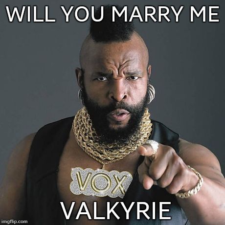 Mr T Pity The Fool | WILL YOU MARRY ME VALKYRIE | image tagged in memes,mr t pity the fool | made w/ Imgflip meme maker