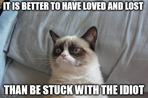 Grumpy Cat Bed Meme | IT IS BETTER TO HAVE LOVED AND LOST THAN BE STUCK WITH THE IDIOT | image tagged in memes,grumpy cat bed,grumpy cat | made w/ Imgflip meme maker