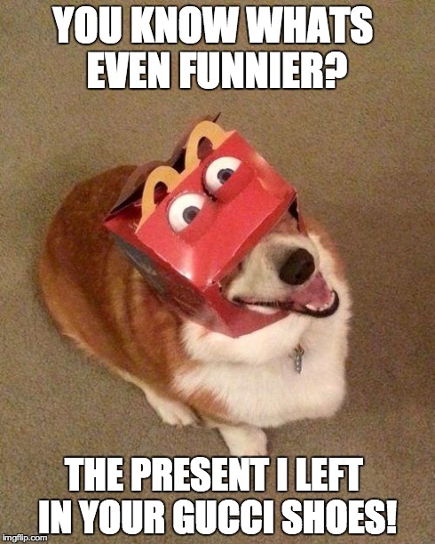 dog face | YOU KNOW WHATS EVEN FUNNIER? THE PRESENT I LEFT IN YOUR GUCCI SHOES! | image tagged in dog face | made w/ Imgflip meme maker