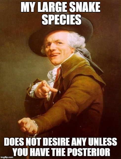 Joseph Ducreux Meme | MY LARGE SNAKE SPECIES DOES NOT DESIRE ANY UNLESS YOU HAVE THE POSTERIOR | image tagged in memes,joseph ducreux | made w/ Imgflip meme maker
