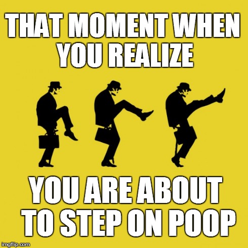That moment again... | THAT MOMENT WHEN YOU REALIZE YOU ARE ABOUT TO STEP ON POOP | image tagged in that moment when | made w/ Imgflip meme maker