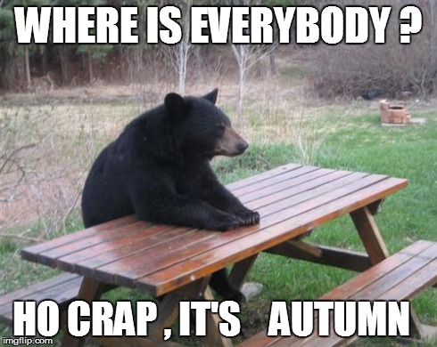 Bad Luck Bear | WHERE IS EVERYBODY ? HO CRAP , IT'S    AUTUMN | image tagged in memes,bad luck bear | made w/ Imgflip meme maker