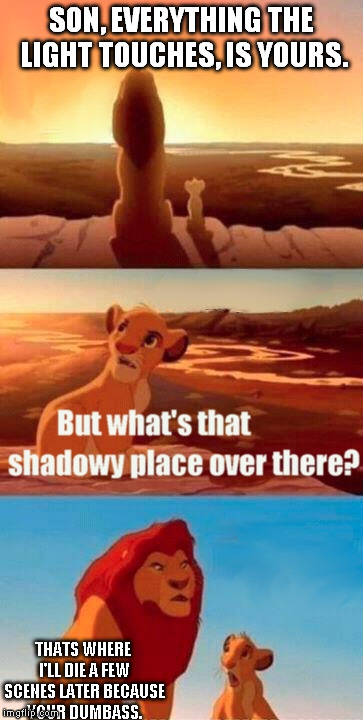 It should of went like | SON, EVERYTHING THE LIGHT TOUCHES, IS YOURS. THATS WHERE I'LL DIE A FEW SCENES LATER BECAUSE YOUR DUMBASS. | image tagged in memes,simba shadowy place | made w/ Imgflip meme maker