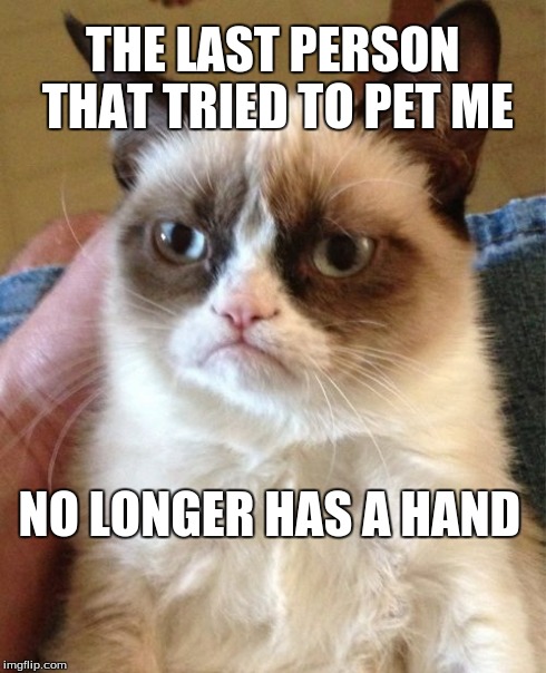 Grumpy Cat | THE LAST PERSON THAT TRIED TO PET ME NO LONGER HAS A HAND | image tagged in memes,grumpy cat | made w/ Imgflip meme maker