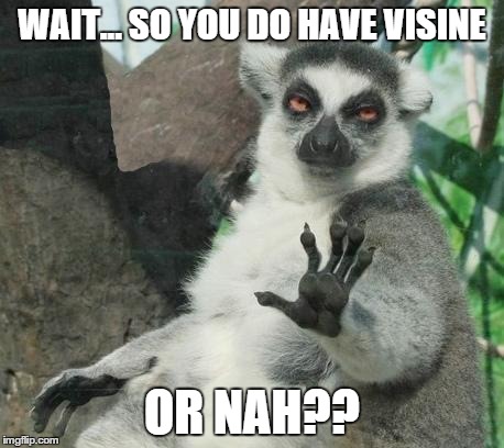 Stoner Lemur | WAIT... SO YOU DO HAVE VISINE OR NAH?? | image tagged in memes,stoner lemur | made w/ Imgflip meme maker