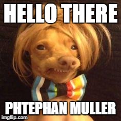 phteven dog | HELLO THERE PHTEPHAN MULLER | image tagged in phteven dog | made w/ Imgflip meme maker