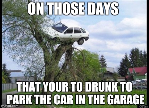 Secure Parking Meme | ON THOSE DAYS THAT YOUR TO DRUNK TO PARK THE CAR IN THE GARAGE | image tagged in memes,secure parking | made w/ Imgflip meme maker