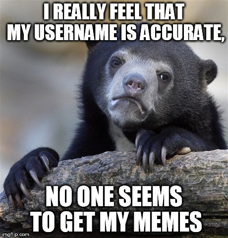 Confession Bear | I REALLY FEEL THAT MY USERNAME IS ACCURATE, NO ONE SEEMS TO GET MY MEMES | image tagged in memes,confession bear | made w/ Imgflip meme maker
