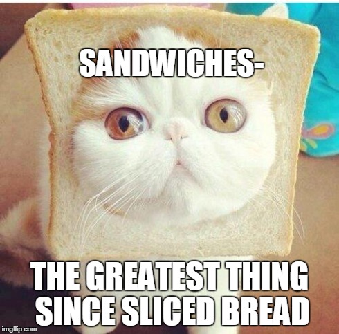 Breadcat | SANDWICHES- THE GREATEST THING SINCE SLICED BREAD | image tagged in breadcat | made w/ Imgflip meme maker