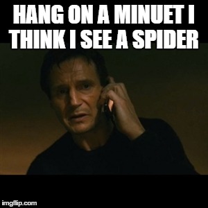 Liam Neeson Taken | HANG ON A MINUET I THINK I SEE A SPIDER | image tagged in memes,liam neeson taken | made w/ Imgflip meme maker