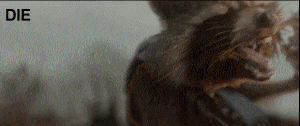 Racoon_GIF_2 | image tagged in gifs,funny | made w/ Imgflip images-to-gif maker
