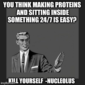 Kill Yourself Guy | YOU THINK MAKING PROTEINS AND SITTING INSIDE SOMETHING 24/7 IS EASY? KILL YOURSELF 
-NUCLEOLUS | image tagged in memes,kill yourself guy | made w/ Imgflip meme maker