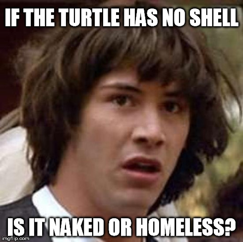 Conspiracy Keanu | IF THE TURTLE HAS NO SHELL IS IT NAKED OR HOMELESS? | image tagged in memes,conspiracy keanu | made w/ Imgflip meme maker