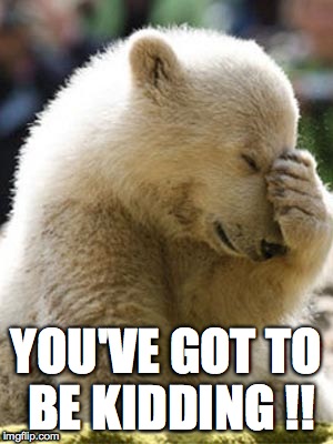 Facepalm Bear | YOU'VE GOT TO BE KIDDING !! | image tagged in memes,facepalm bear | made w/ Imgflip meme maker