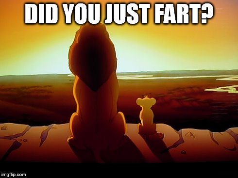 Lion King Meme | DID YOU JUST FART? | image tagged in memes,lion king | made w/ Imgflip meme maker