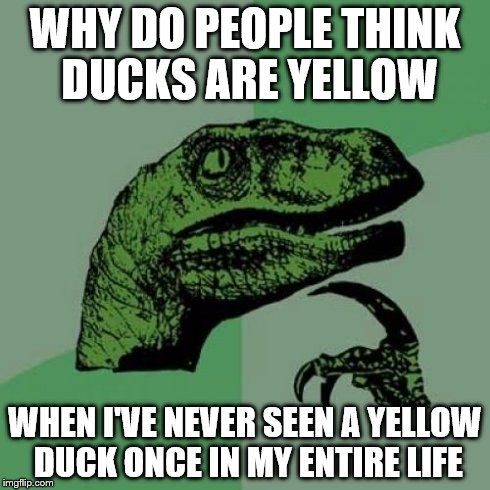 Ducks | WHY DO PEOPLE THINK DUCKS ARE YELLOW WHEN I'VE NEVER SEEN A YELLOW DUCK ONCE IN MY ENTIRE LIFE | image tagged in memes,philosoraptor | made w/ Imgflip meme maker