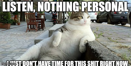 Listen... | LISTEN, NOTHING PERSONAL I JUST DON'T HAVE TIME FOR THIS SHIT RIGHT NOW | image tagged in animals,cats,cat | made w/ Imgflip meme maker