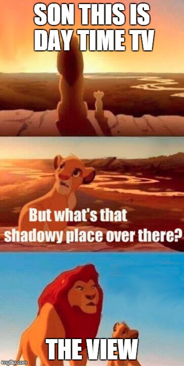 Simba Shadowy Place Meme | SON THIS IS DAY TIME TV THE VIEW | image tagged in memes,simba shadowy place | made w/ Imgflip meme maker