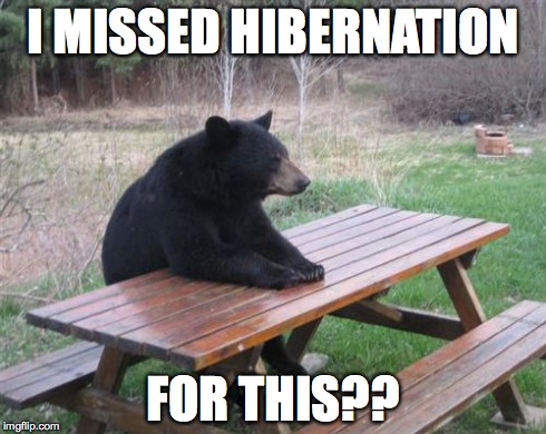 Bad Luck Bear | I MISSED HIBERNATION FOR THIS?? | image tagged in memes,bad luck bear | made w/ Imgflip meme maker