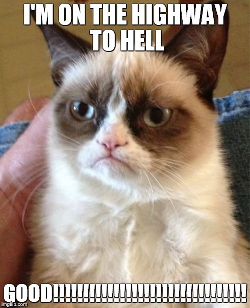 Grumpy Cat Meme | I'M ON THE HIGHWAY TO HELL GOOD!!!!!!!!!!!!!!!!!!!!!!!!!!!!!!!! | image tagged in memes,grumpy cat | made w/ Imgflip meme maker