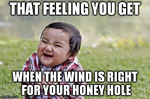 Evil Toddler Meme | THAT FEELING YOU GET WHEN THE WIND IS RIGHT FOR YOUR HONEY HOLE | image tagged in memes,evil toddler | made w/ Imgflip meme maker