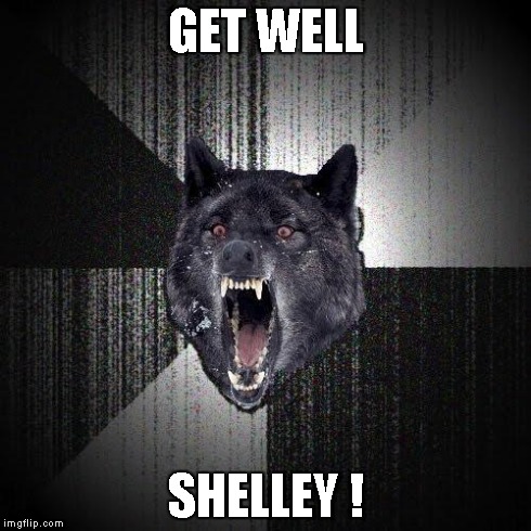 Insanity Wolf Meme | GET WELL SHELLEY ! | image tagged in memes,insanity wolf | made w/ Imgflip meme maker