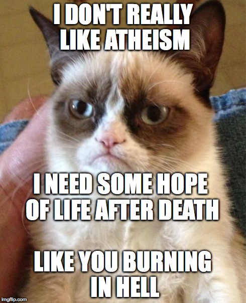 Grumpy Cat | I DON'T REALLY LIKE ATHEISM LIKE YOU BURNING IN HELL I NEED SOME HOPE OF LIFE AFTER DEATH | image tagged in memes,grumpy cat | made w/ Imgflip meme maker