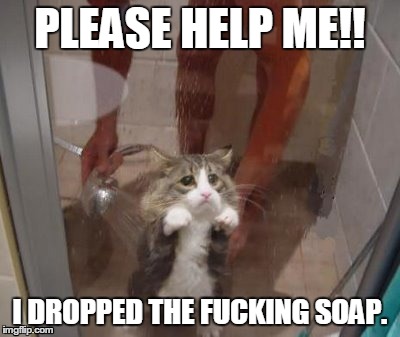 Cat drops soap | PLEASE HELP ME!! I DROPPED THE F**KING SOAP. | image tagged in cats,shower | made w/ Imgflip meme maker