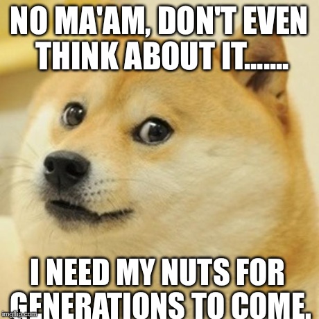 Doge | NO MA'AM, DON'T EVEN THINK ABOUT IT....... I NEED MY NUTS FOR GENERATIONS TO COME. | image tagged in memes,doge | made w/ Imgflip meme maker