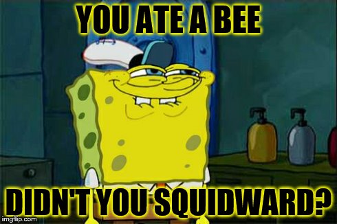 Don't You Squidward | YOU ATE A BEE DIDN'T YOU SQUIDWARD? | image tagged in memes,dont you squidward | made w/ Imgflip meme maker