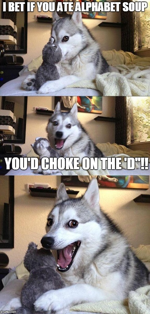 Bad Pun Dog | I BET IF YOU ATE ALPHABET SOUP YOU'D CHOKE ON THE 'D"!! | image tagged in memes,bad pun dog | made w/ Imgflip meme maker