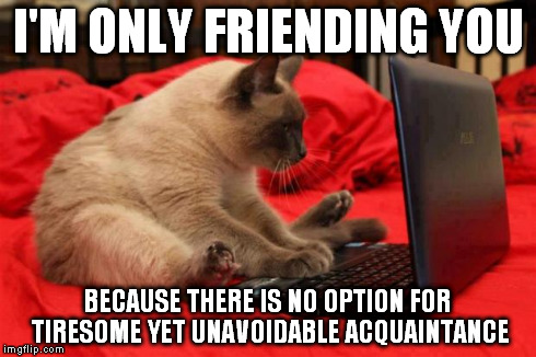 You're not my friend | I'M ONLY FRIENDING YOU BECAUSE THERE IS NO OPTION FOR TIRESOME YET UNAVOIDABLE ACQUAINTANCE | image tagged in laptopcat,cats | made w/ Imgflip meme maker