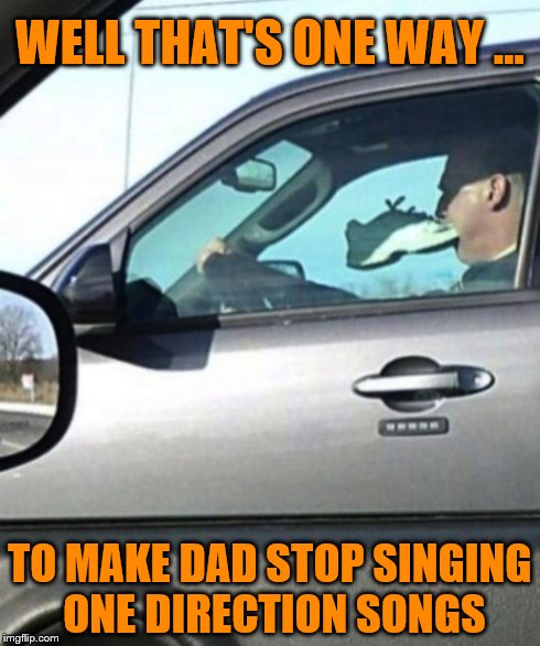 Foot in Mouth Disease | WELL THAT'S ONE WAY ... TO MAKE DAD STOP SINGING ONE DIRECTION SONGS | image tagged in driving,one direction | made w/ Imgflip meme maker