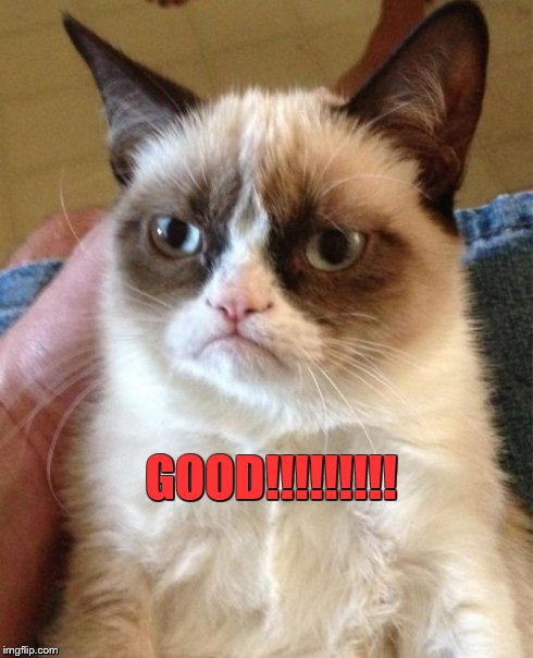 Grumpy Cat Meme | GOOD!!!!!!!!! | image tagged in memes,grumpy cat | made w/ Imgflip meme maker