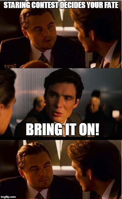 Inception | STARING CONTEST DECIDES YOUR FATE BRING IT ON! | image tagged in memes,inception | made w/ Imgflip meme maker
