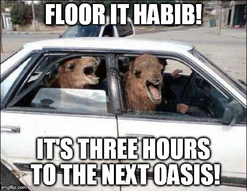Quit Hatin | FLOOR IT HABIB! IT'S THREE HOURS TO THE NEXT OASIS! | image tagged in memes,quit hatin | made w/ Imgflip meme maker