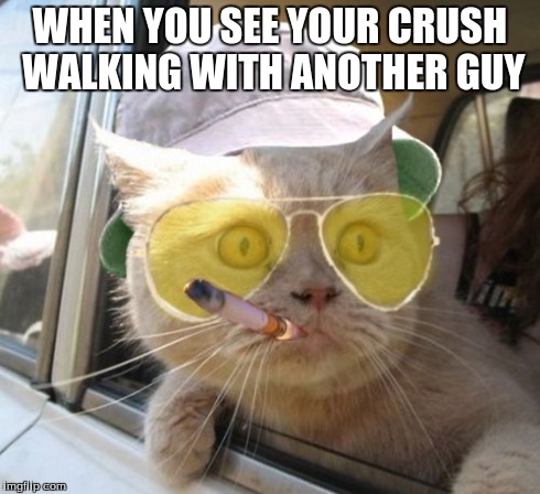 Fear And Loathing Cat | WHEN YOU SEE YOUR CRUSH WALKING WITH ANOTHER GUY | image tagged in memes,fear and loathing cat | made w/ Imgflip meme maker