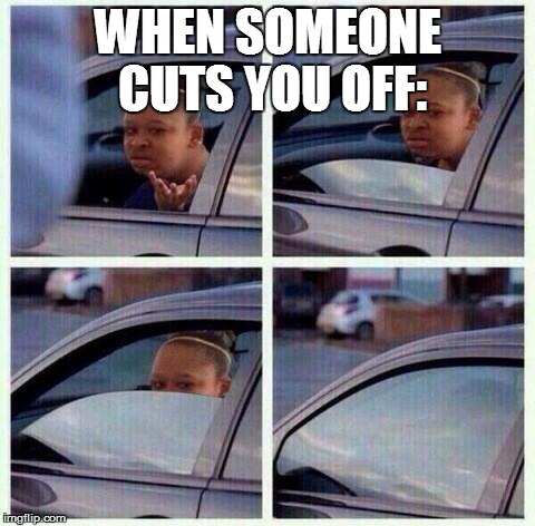 WHEN SOMEONE CUTS YOU OFF: | image tagged in lolz | made w/ Imgflip meme maker