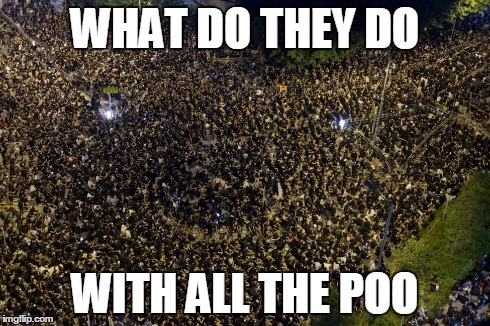 WHAT DO THEY DO WITH ALL THE POO | image tagged in funny | made w/ Imgflip meme maker