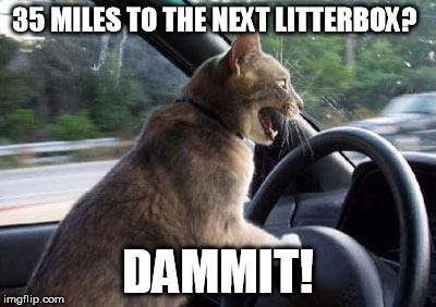 Unhelpful Cat | 35 MILES TO THE NEXT LITTERBOX? DAMMIT! | image tagged in unhelpful cat | made w/ Imgflip meme maker