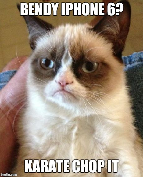 Grumpy Cat Meme | BENDY IPHONE 6? KARATE CHOP IT | image tagged in memes,grumpy cat | made w/ Imgflip meme maker