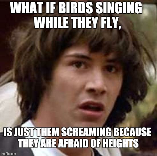 Conspiracy Keanu Meme | WHAT IF BIRDS SINGING WHILE THEY FLY, IS JUST THEM SCREAMING BECAUSE THEY ARE AFRAID OF HEIGHTS | image tagged in memes,conspiracy keanu | made w/ Imgflip meme maker