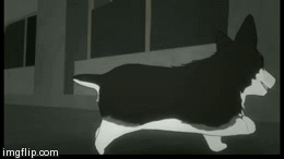 image tagged in gifs | made w/ Imgflip video-to-gif maker