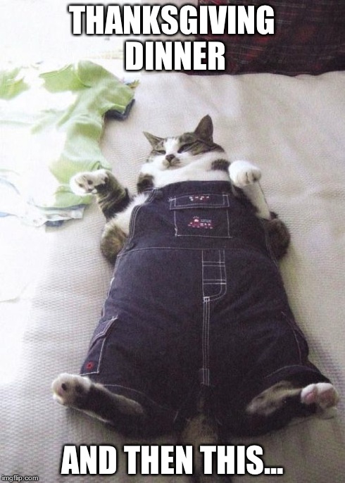 Fat Cat | THANKSGIVING DINNER AND THEN THIS... | image tagged in memes,fat cat | made w/ Imgflip meme maker