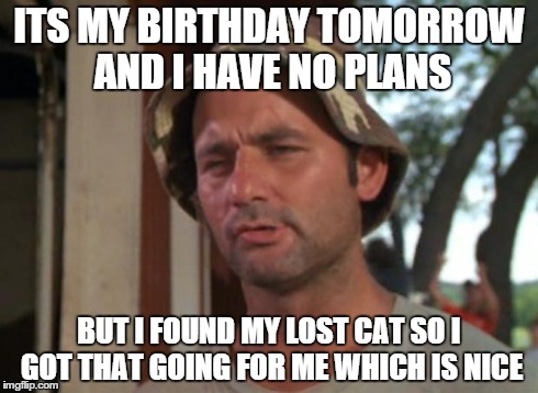 So I Got That Goin For Me Which Is Nice Meme | ITS MY BIRTHDAY TOMORROW AND I HAVE NO PLANS BUT I FOUND MY LOST CAT SO I GOT THAT GOING FOR ME WHICH IS NICE | image tagged in memes,so i got that goin for me which is nice | made w/ Imgflip meme maker